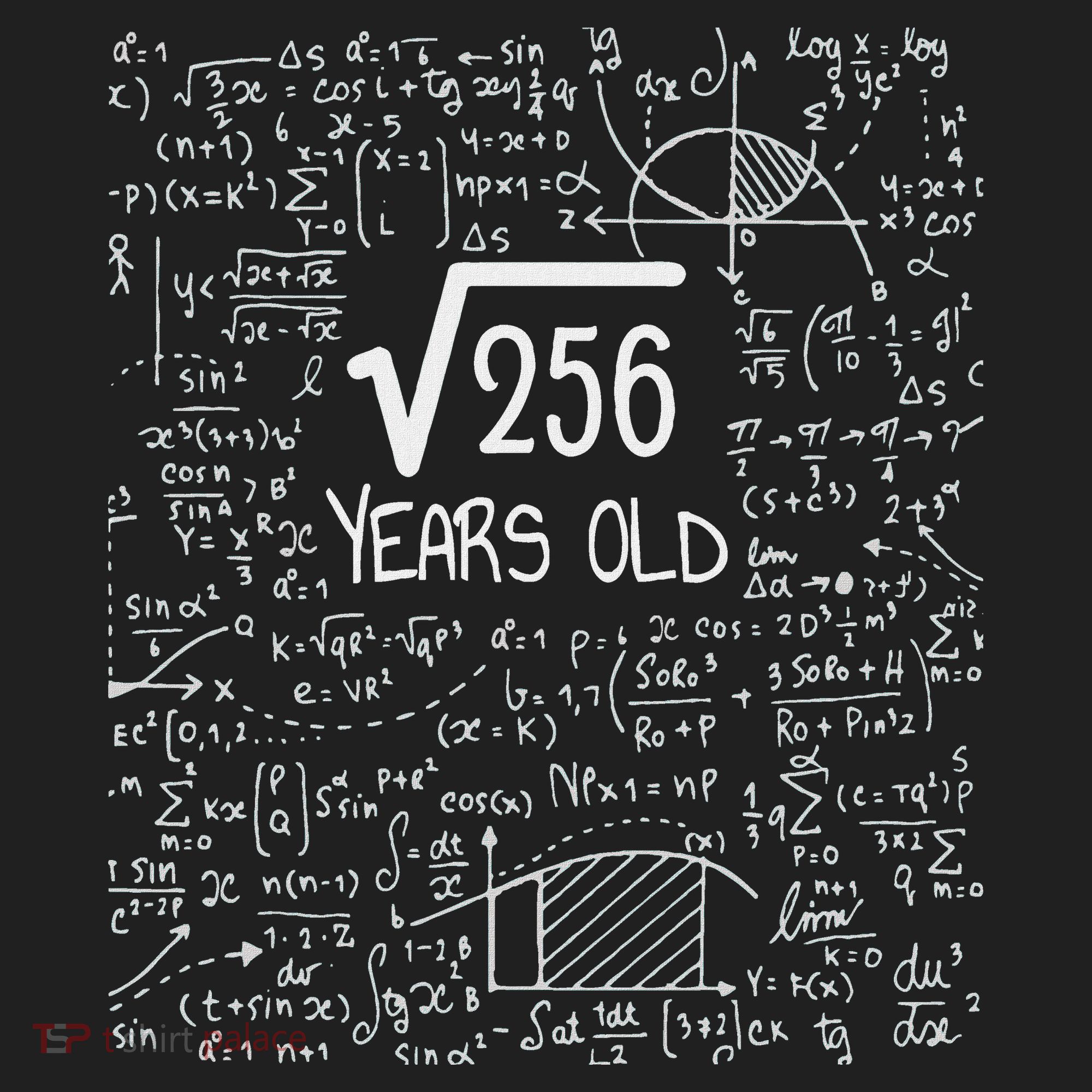 16th Birthday Square Root Of 256 16 Years Old Tumbler
