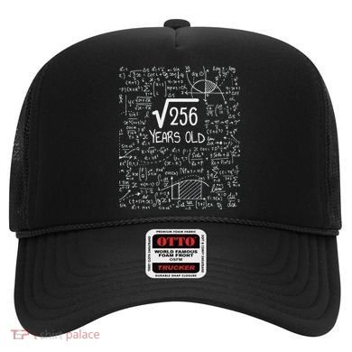 16th Birthday Square Root Of 256 16 Years Old Hat