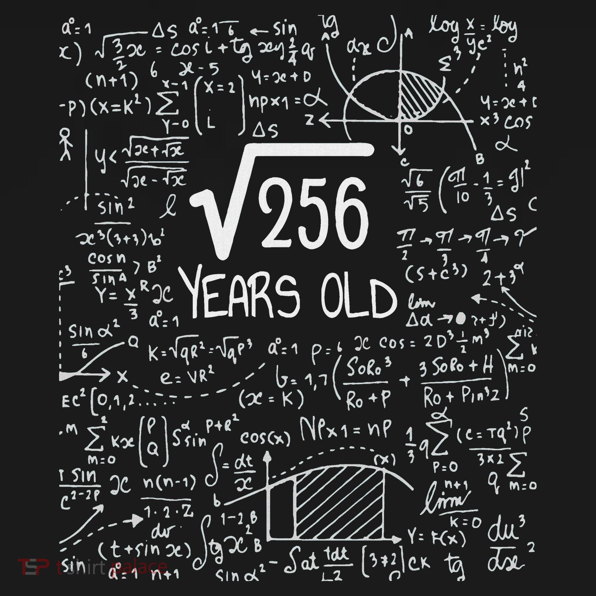 16th Birthday Square Root Of 256 16 Years Old Visor