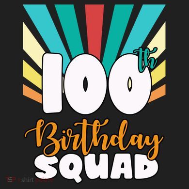 100th Birthday Squad 100 Years Old District V.I.T. Heavyweight Hoodie