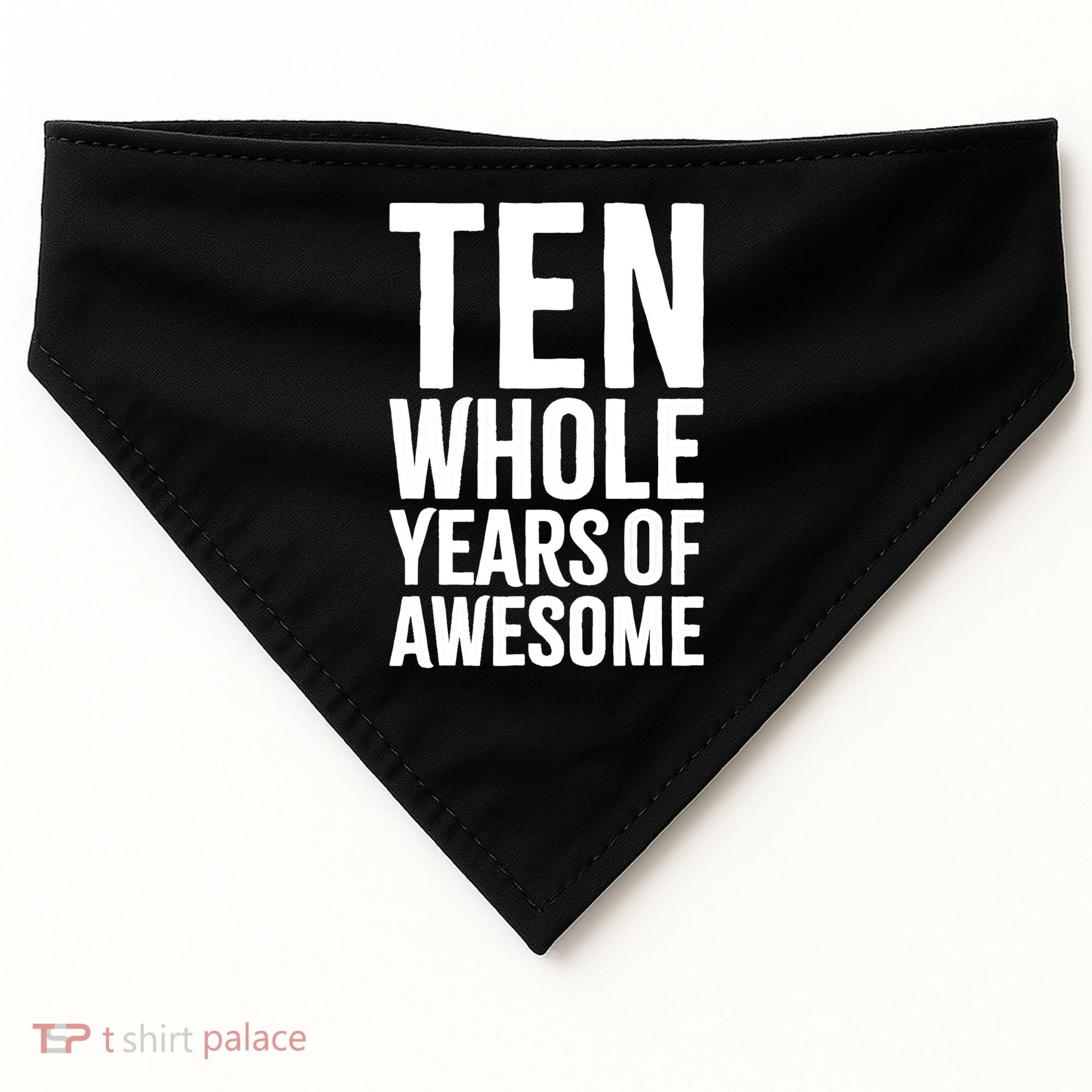 10th Birthday Shirt Gift Boy Age 10 Ten Year Old Boys Son TShirt USA-Made Doggie Bandana