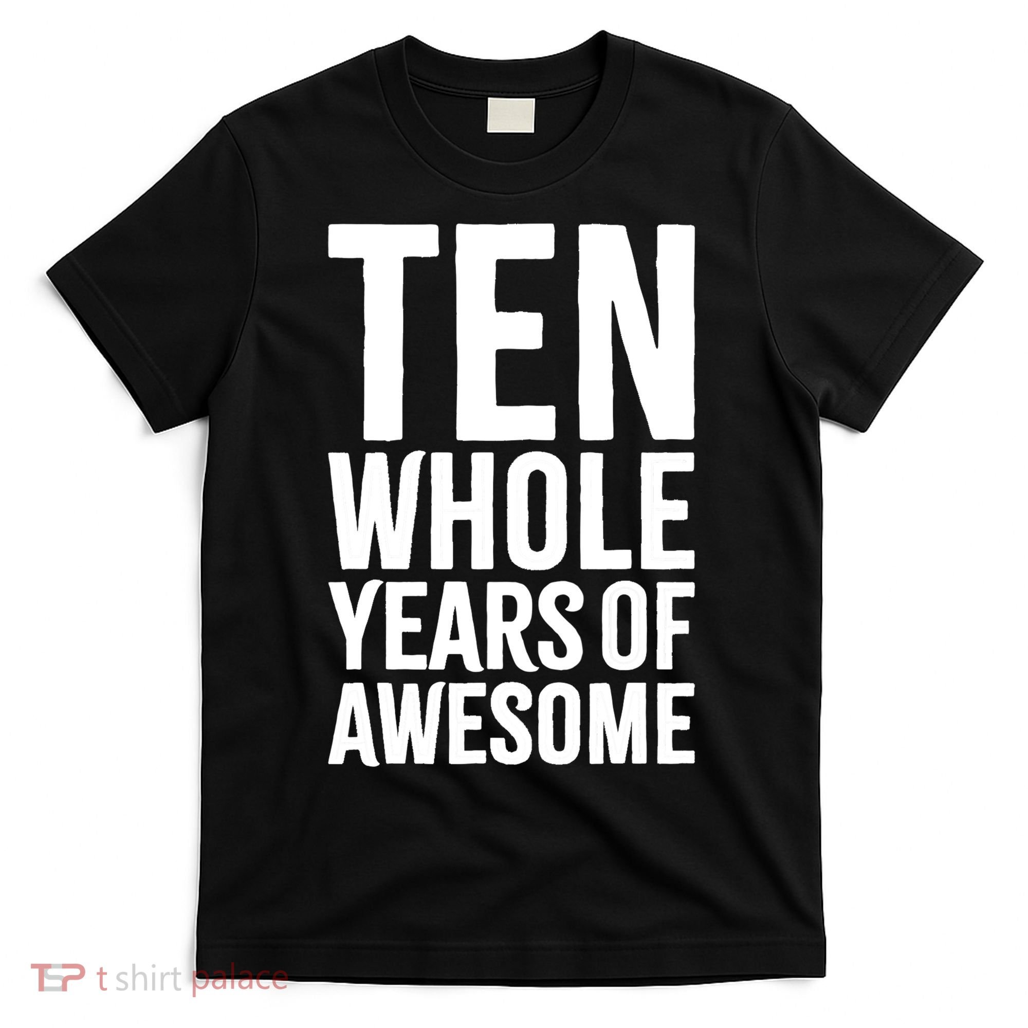 10th Birthday Shirt Gift Boy Age 10 Ten Year Old Boys Son TShirt T-Shirt
