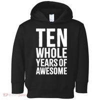 10th Birthday Shirt Gift Boy Age 10 Ten Year Old Boys Son TShirt Toddler Hoodie thumb 0