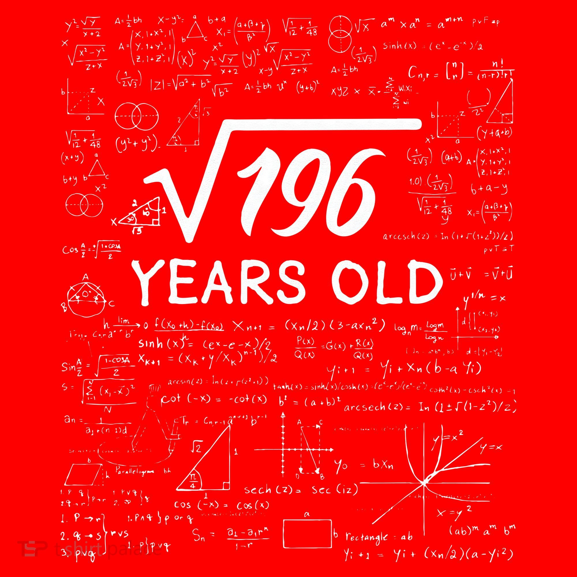14 Birthday Son Him Funny Math 14th Birthday Santa Hat