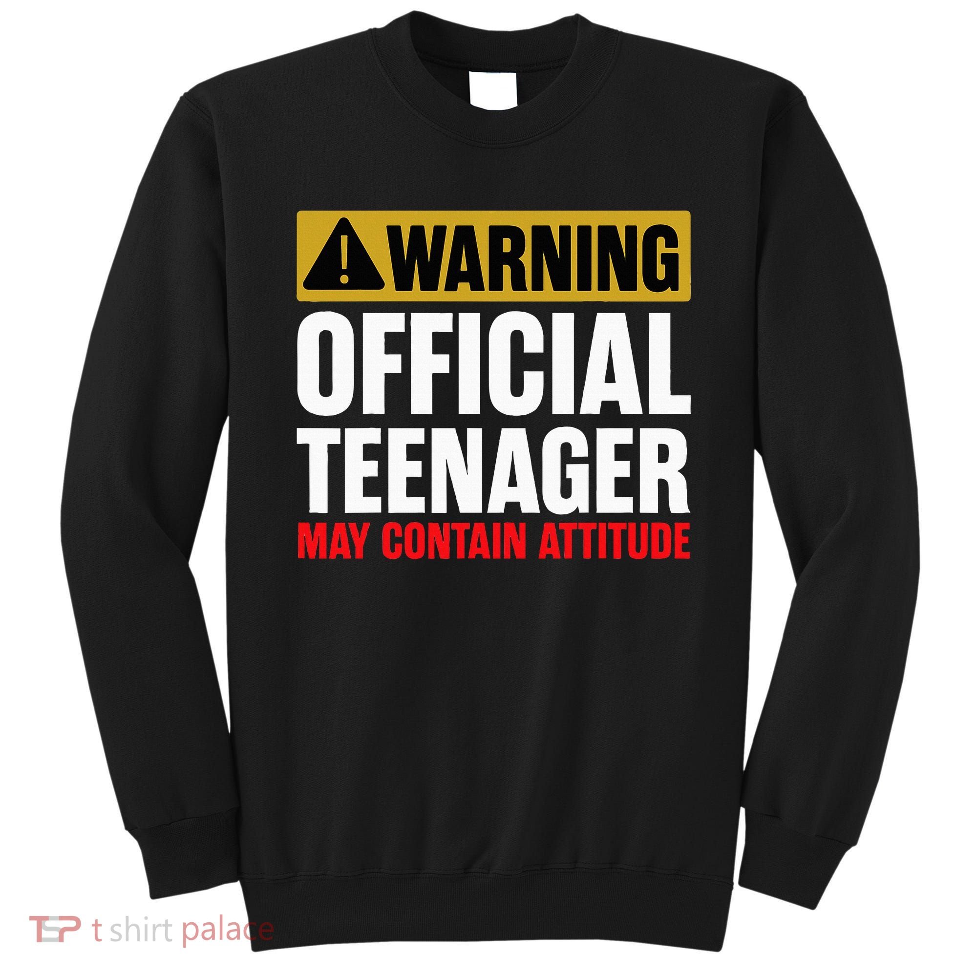 13 Birthday Teenager Boy 13yr Math 13th Birthday Sweatshirt