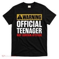 13 Birthday Teenager Boy 13yr Math 13th Birthday T-Shirt thumb 0