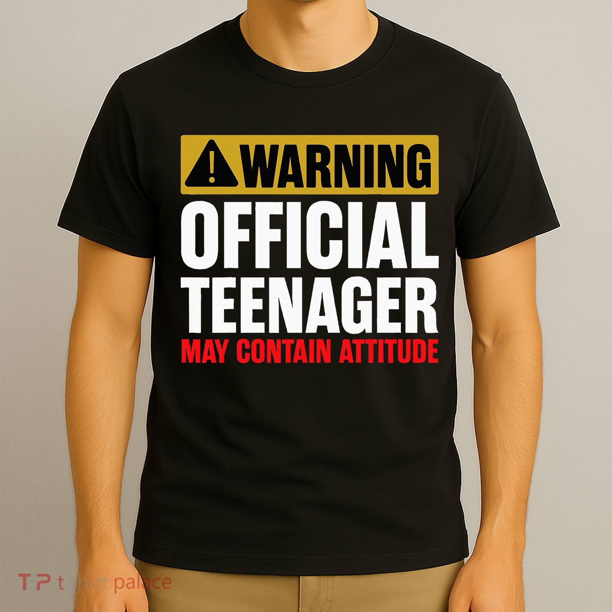 13 Birthday Teenager Boy 13yr Math 13th Birthday T-Shirt