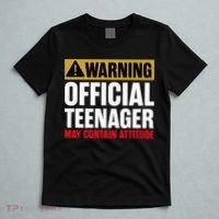 13 Birthday Teenager Boy 13yr Math 13th Birthday T-Shirt thumb 5