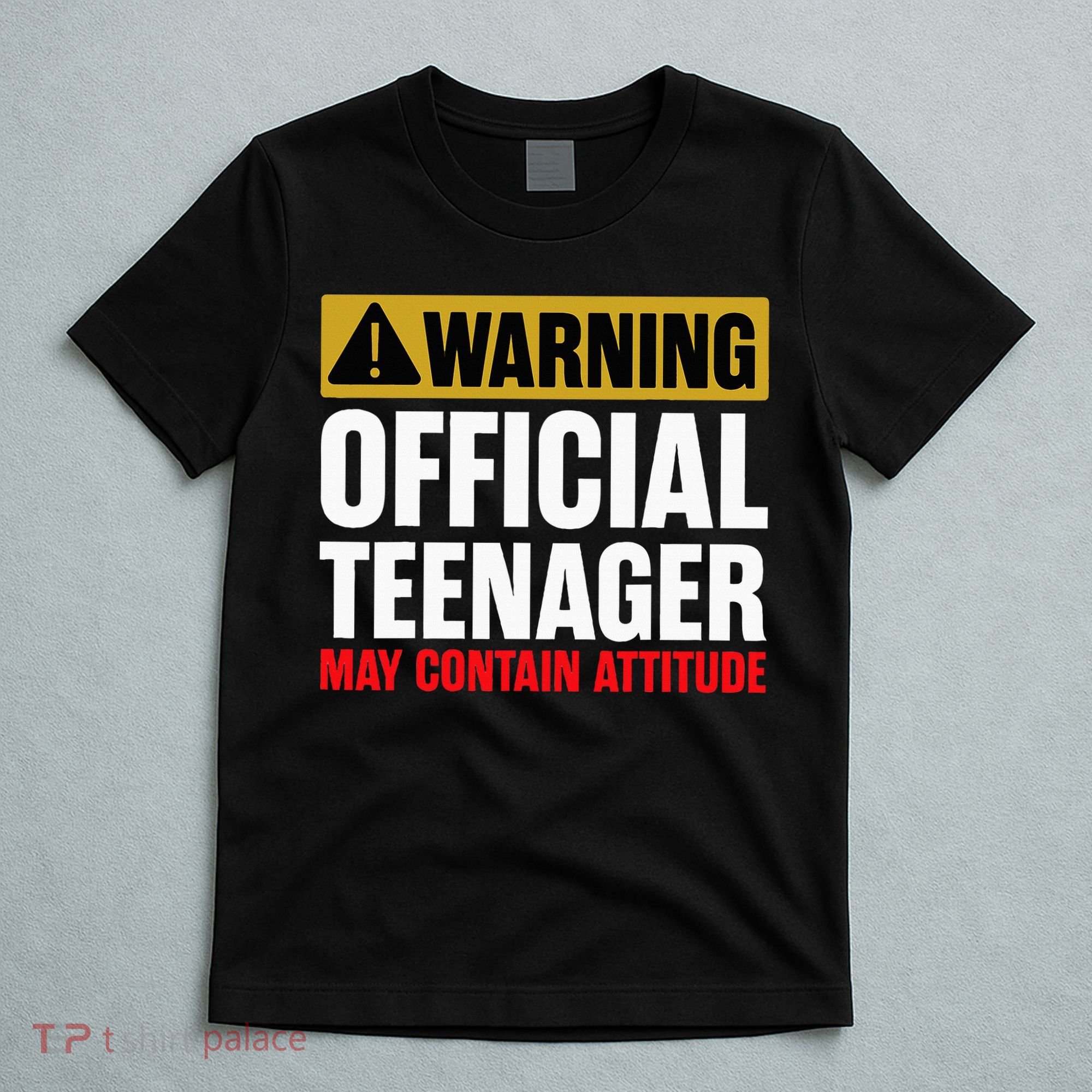 13 Birthday Teenager Boy 13yr Math 13th Birthday T-Shirt