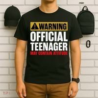13 Birthday Teenager Boy 13yr Math 13th Birthday T-Shirt thumb 6