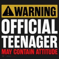 13 Birthday Teenager Boy 13yr Math 13th Birthday T-Shirt thumb 7