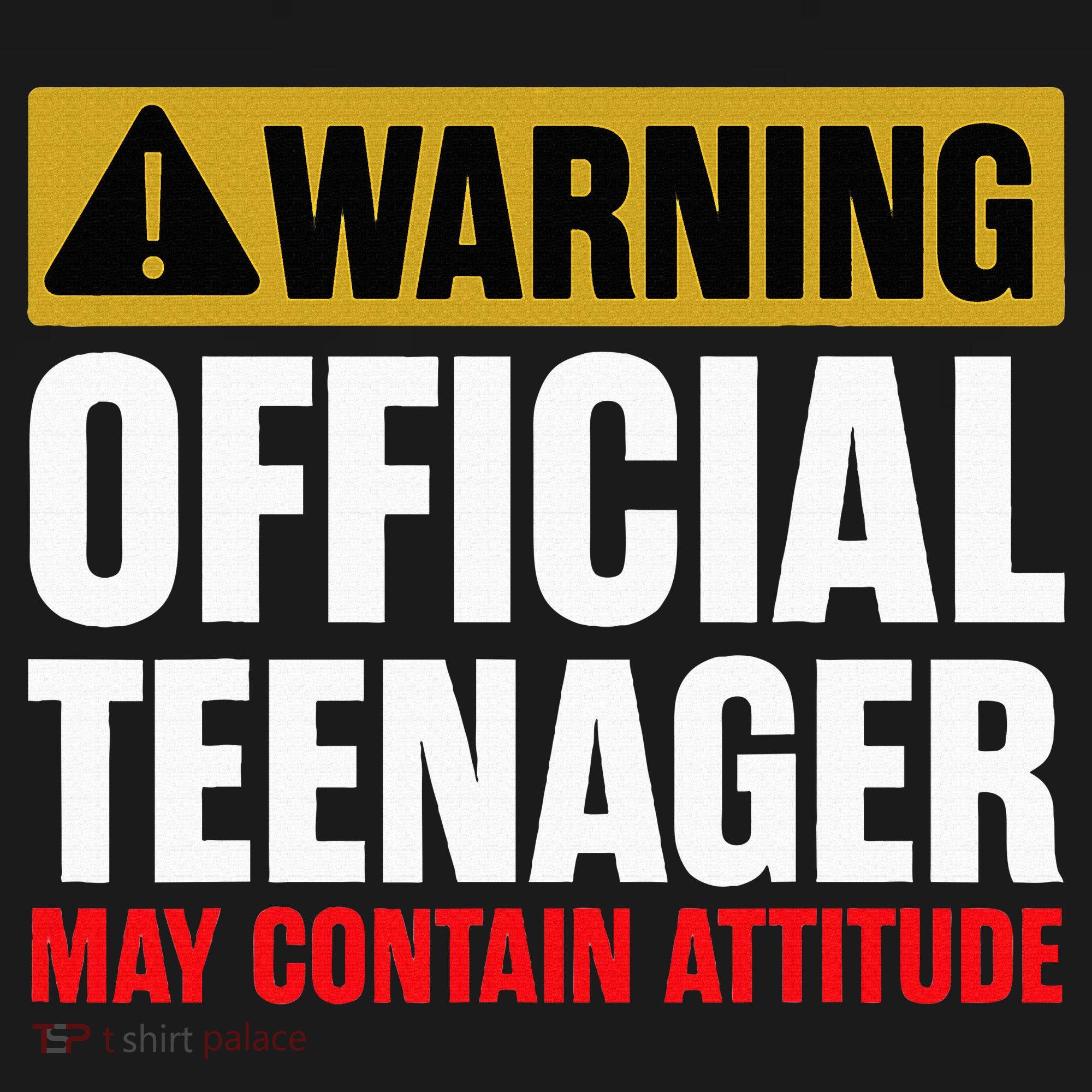 13 Birthday Teenager Boy 13yr Math 13th Birthday T-Shirt