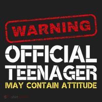 13 Birthday Teenager Boy 13th Birthday Beanie thumb 2