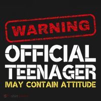 13 Birthday Teenager Boy 13th Birthday Women's Hoodie thumb 2