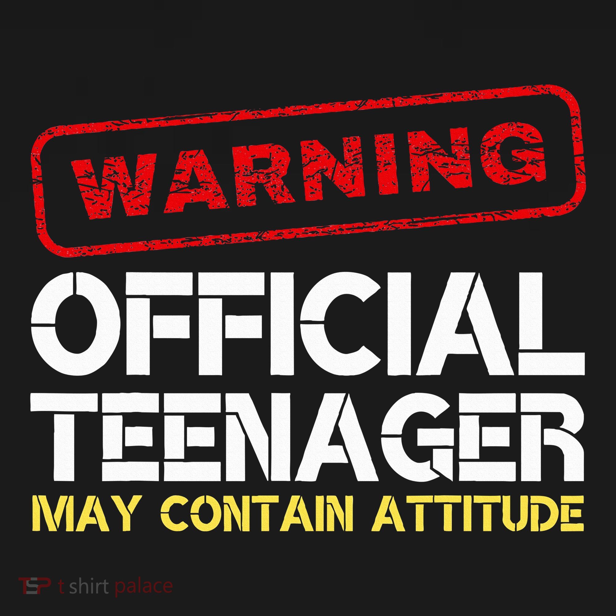 13 Birthday Teenager Boy 13th Birthday Women's Hoodie