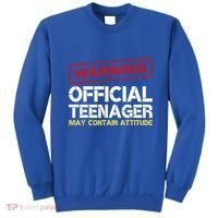 13 Birthday Teenager Boy 13th Birthday Sweatshirt thumb 0