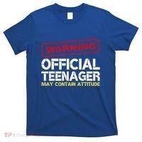 13 Birthday Teenager Boy 13th Birthday T-Shirt thumb 0