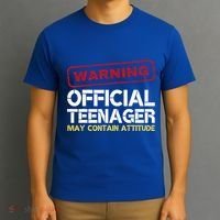 13 Birthday Teenager Boy 13th Birthday T-Shirt thumb 3