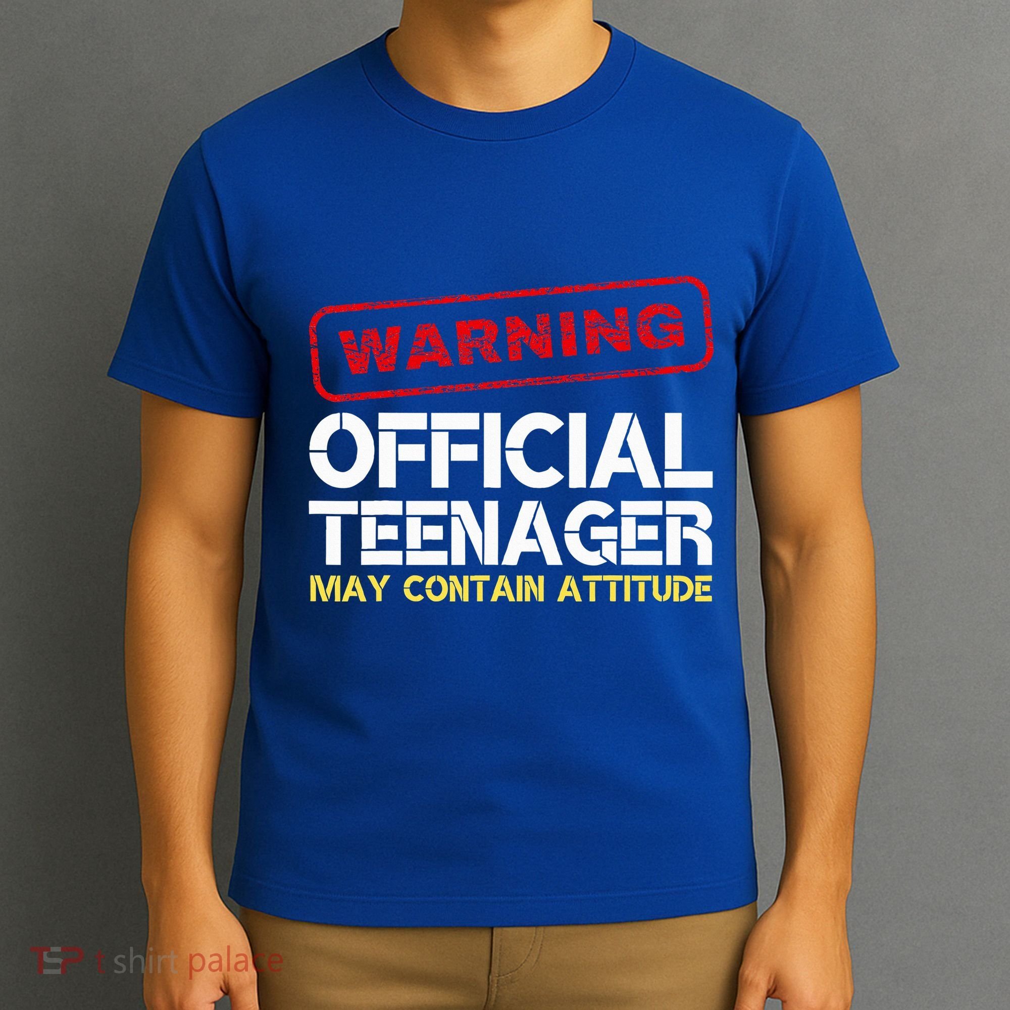 13 Birthday Teenager Boy 13th Birthday T-Shirt