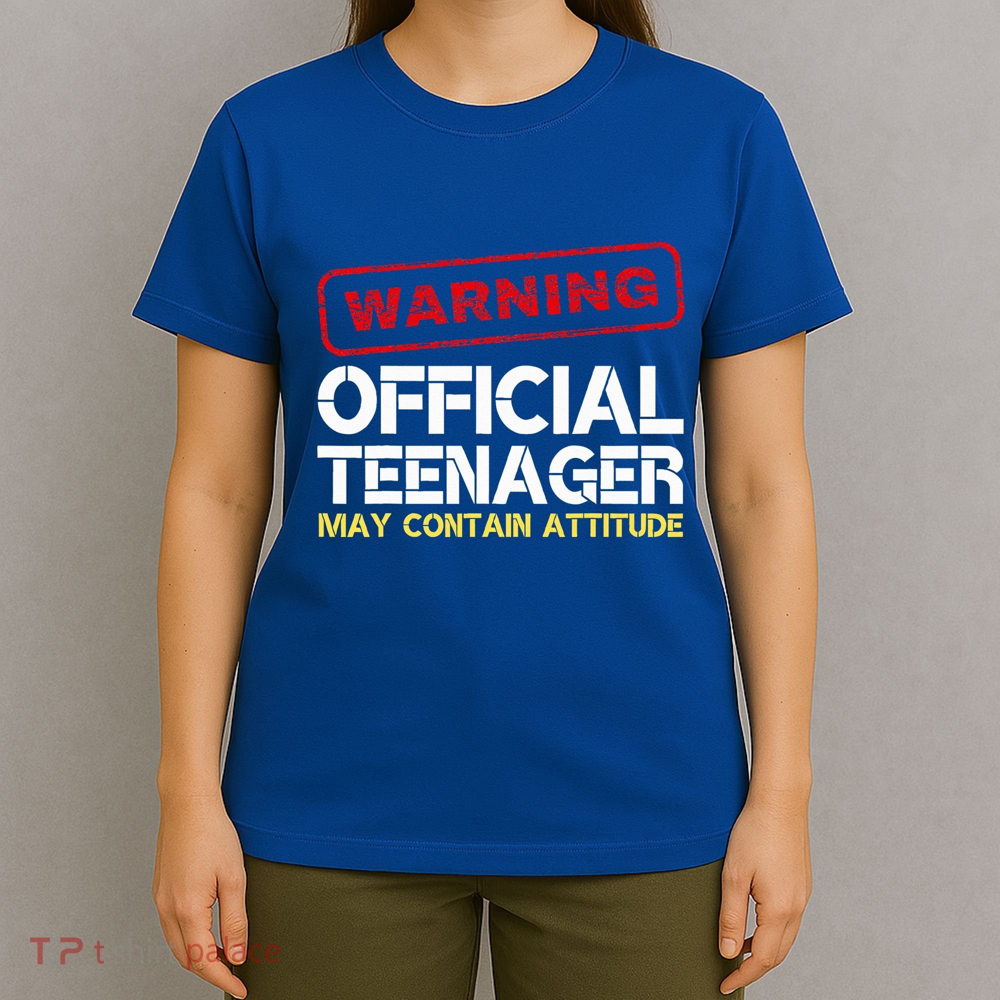 13 Birthday Teenager Boy 13th Birthday T-Shirt