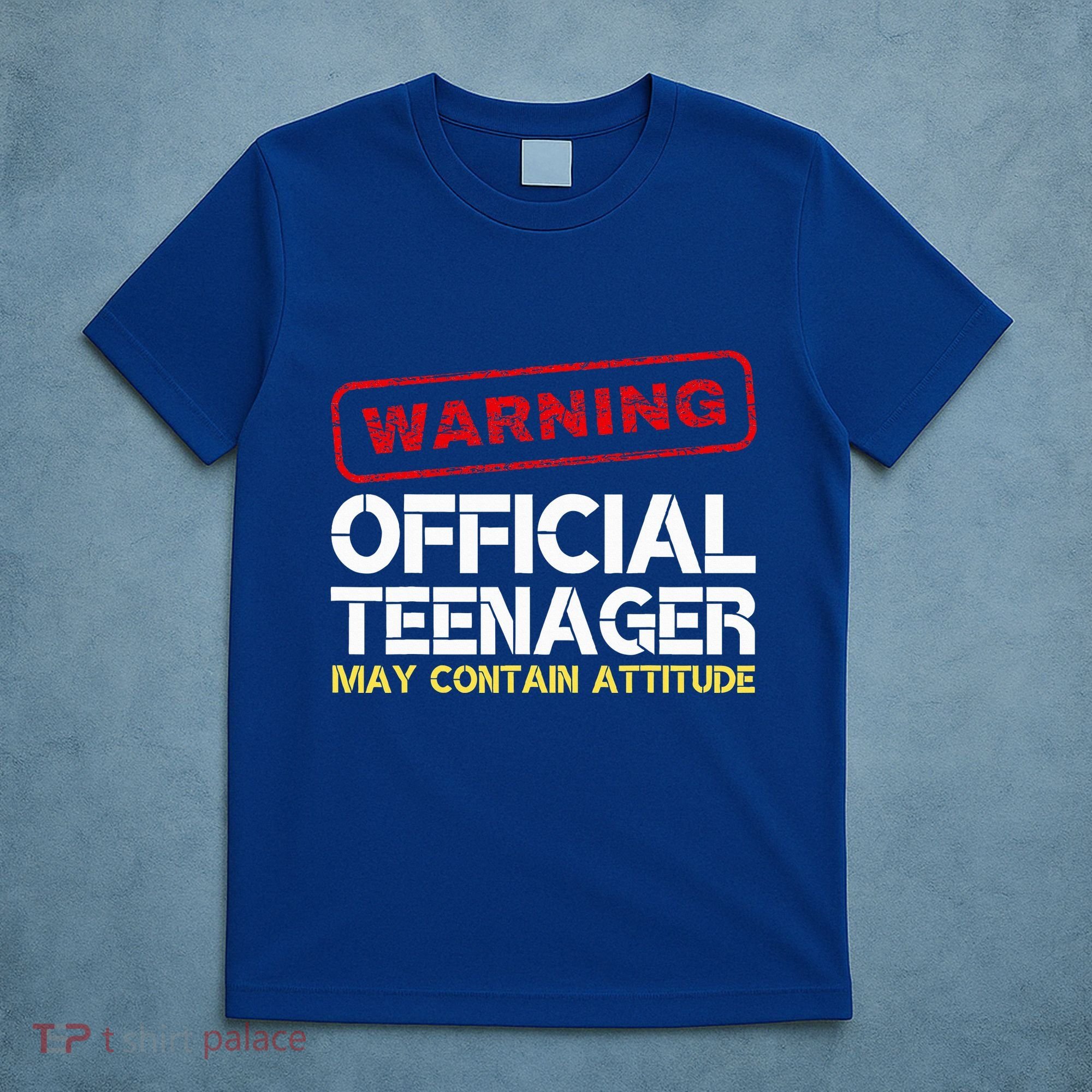 13 Birthday Teenager Boy 13th Birthday T-Shirt