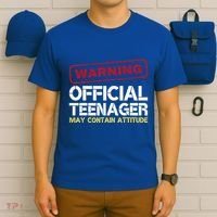 13 Birthday Teenager Boy 13th Birthday T-Shirt thumb 6