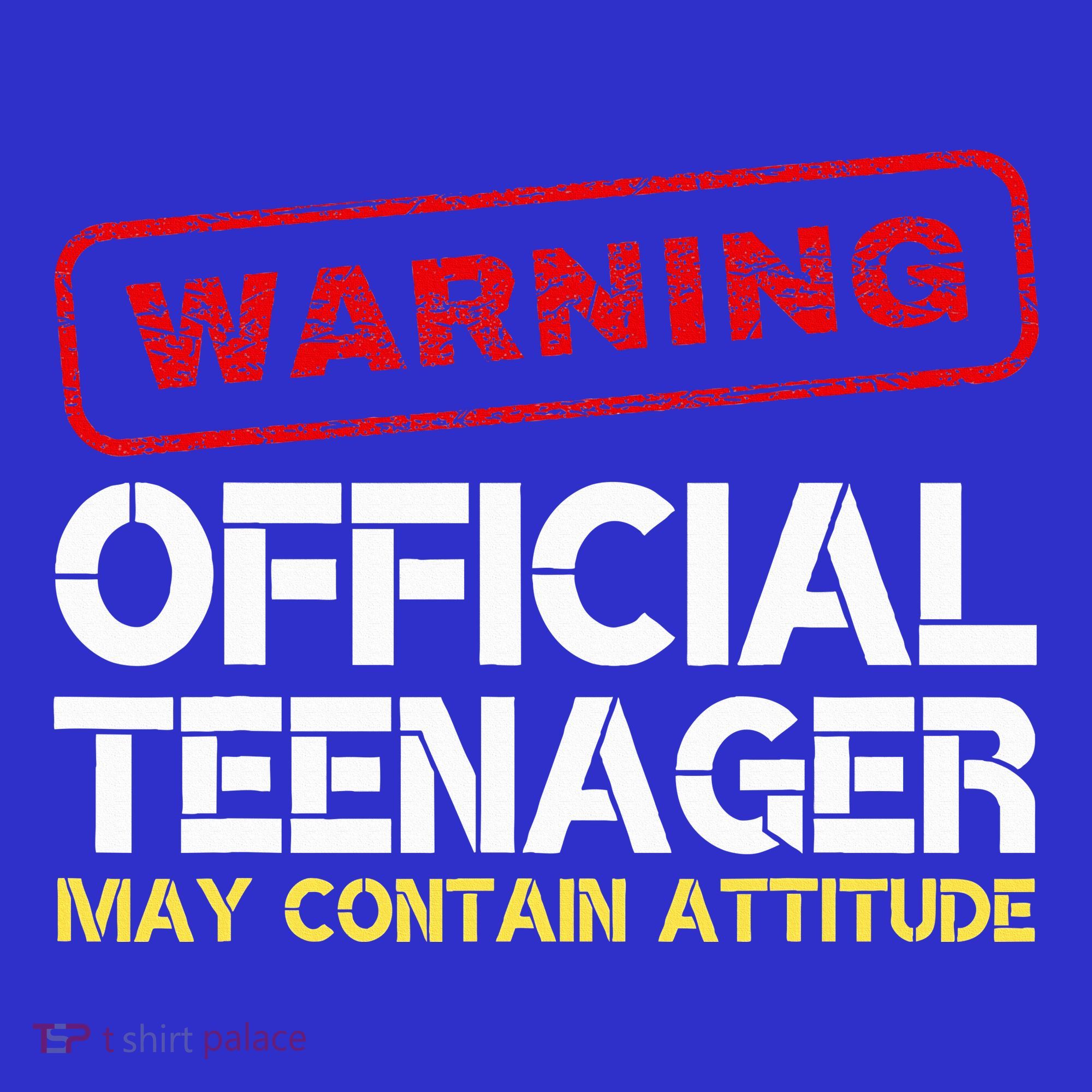 13 Birthday Teenager Boy 13th Birthday Women's Tank Top