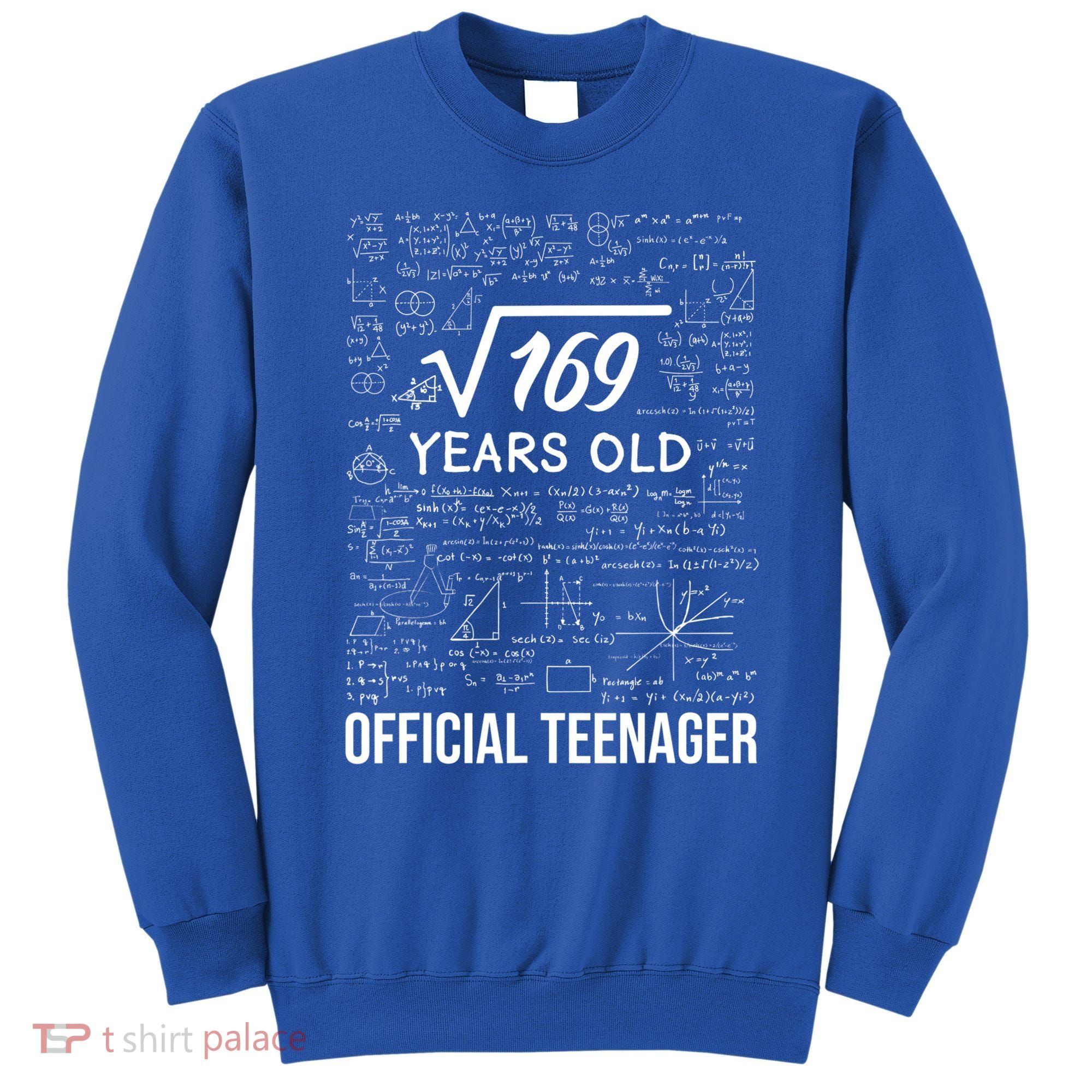 13 Birthday Teenager Boy 13yr Math 13th Birthday Sweatshirt
