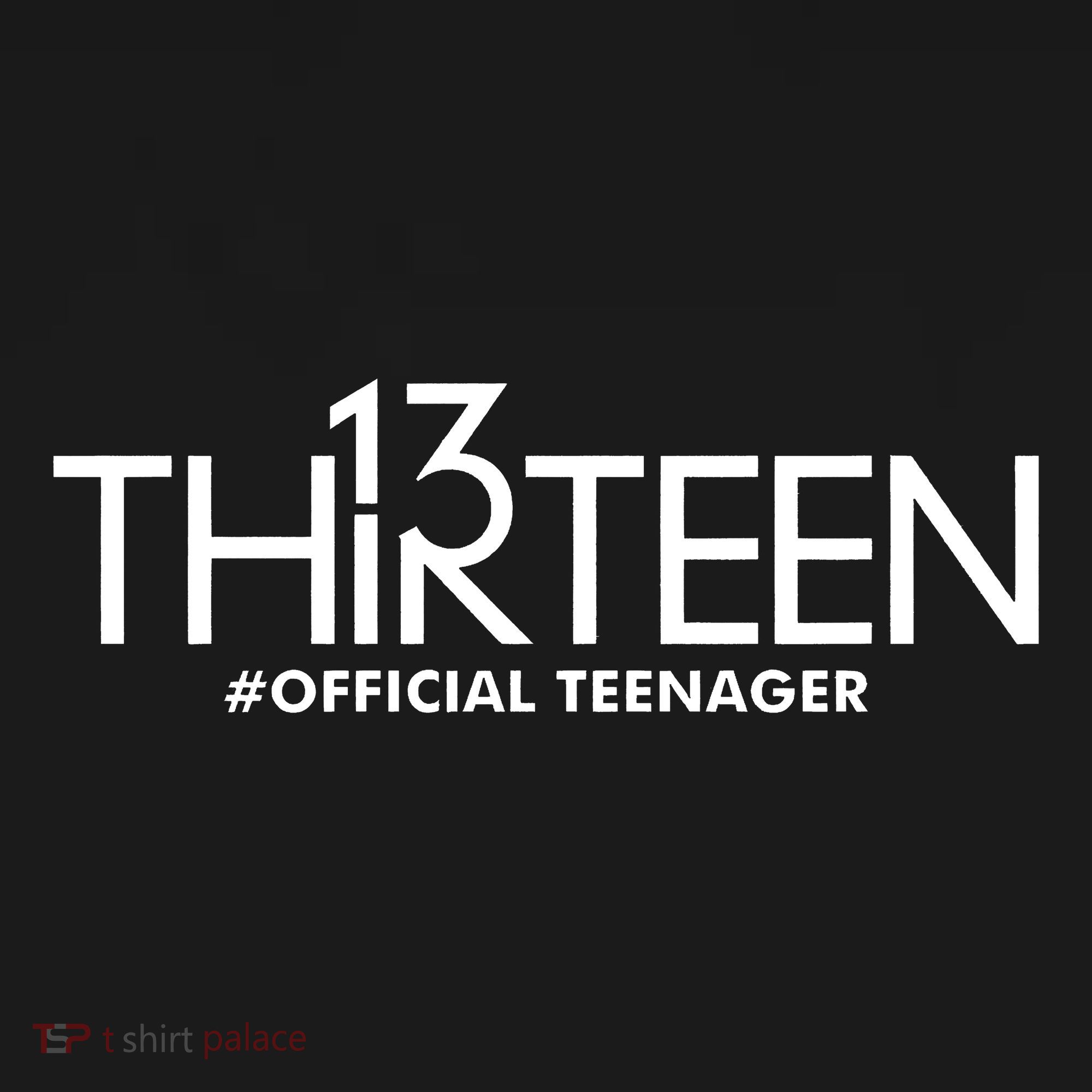 13th Birthday Teenager Thirteen Year Old Coaster