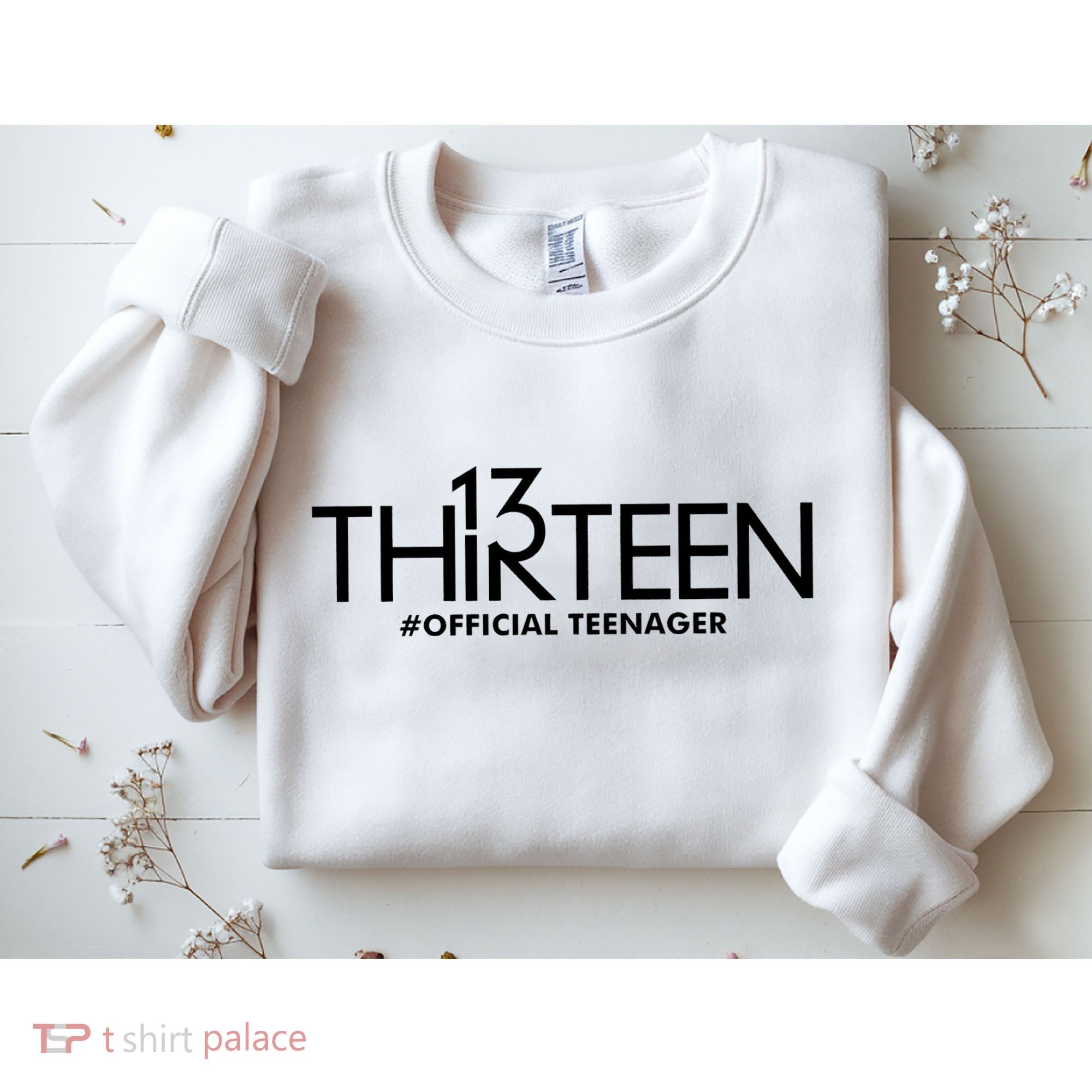 13th Birthday Teenager Thirteen Year Old Sweatshirt
