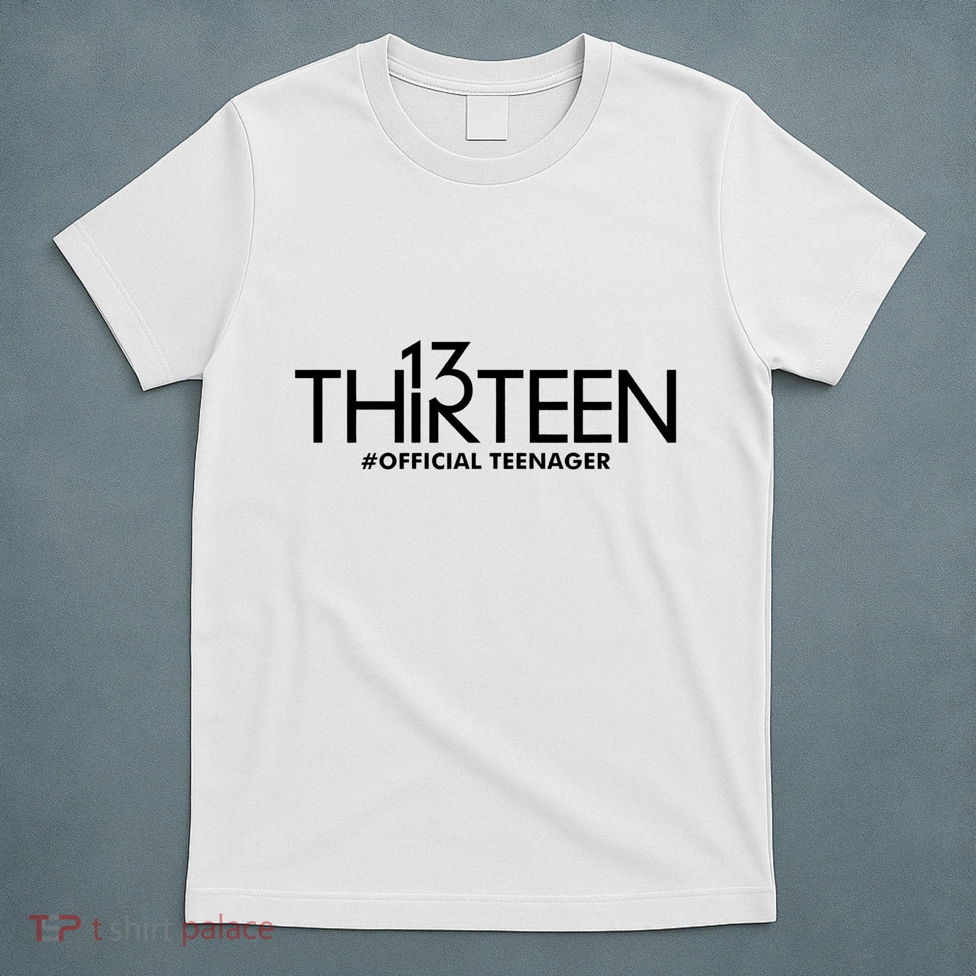 13th Birthday Teenager Thirteen Year Old T-Shirt