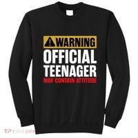 13 Birthday Teenager Boy 13yr Math 13th Birthday Sweatshirt thumb 0
