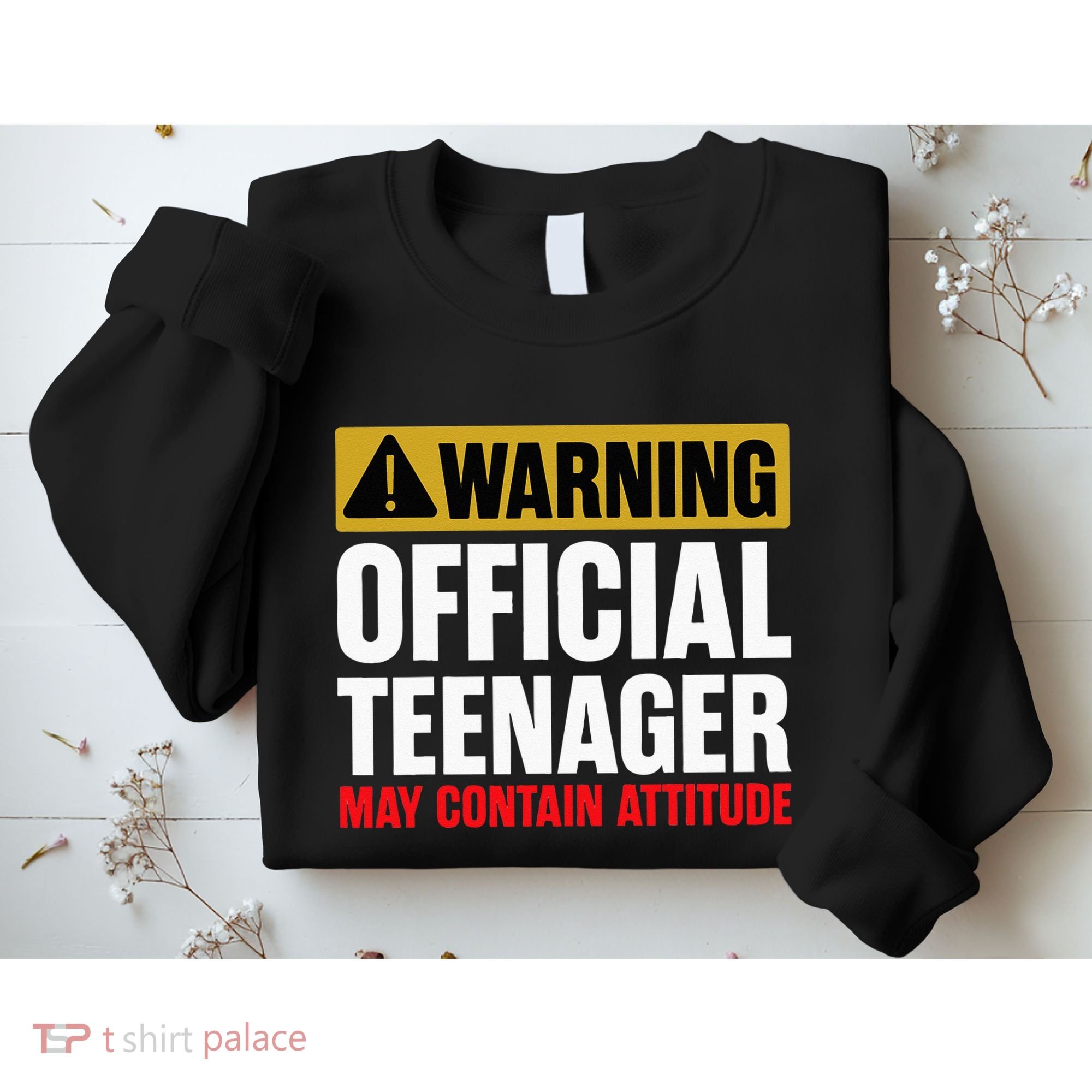 13 Birthday Teenager Boy 13yr Math 13th Birthday Sweatshirt
