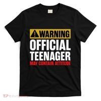 13 Birthday Teenager Boy 13yr Math 13th Birthday T-Shirt thumb 0