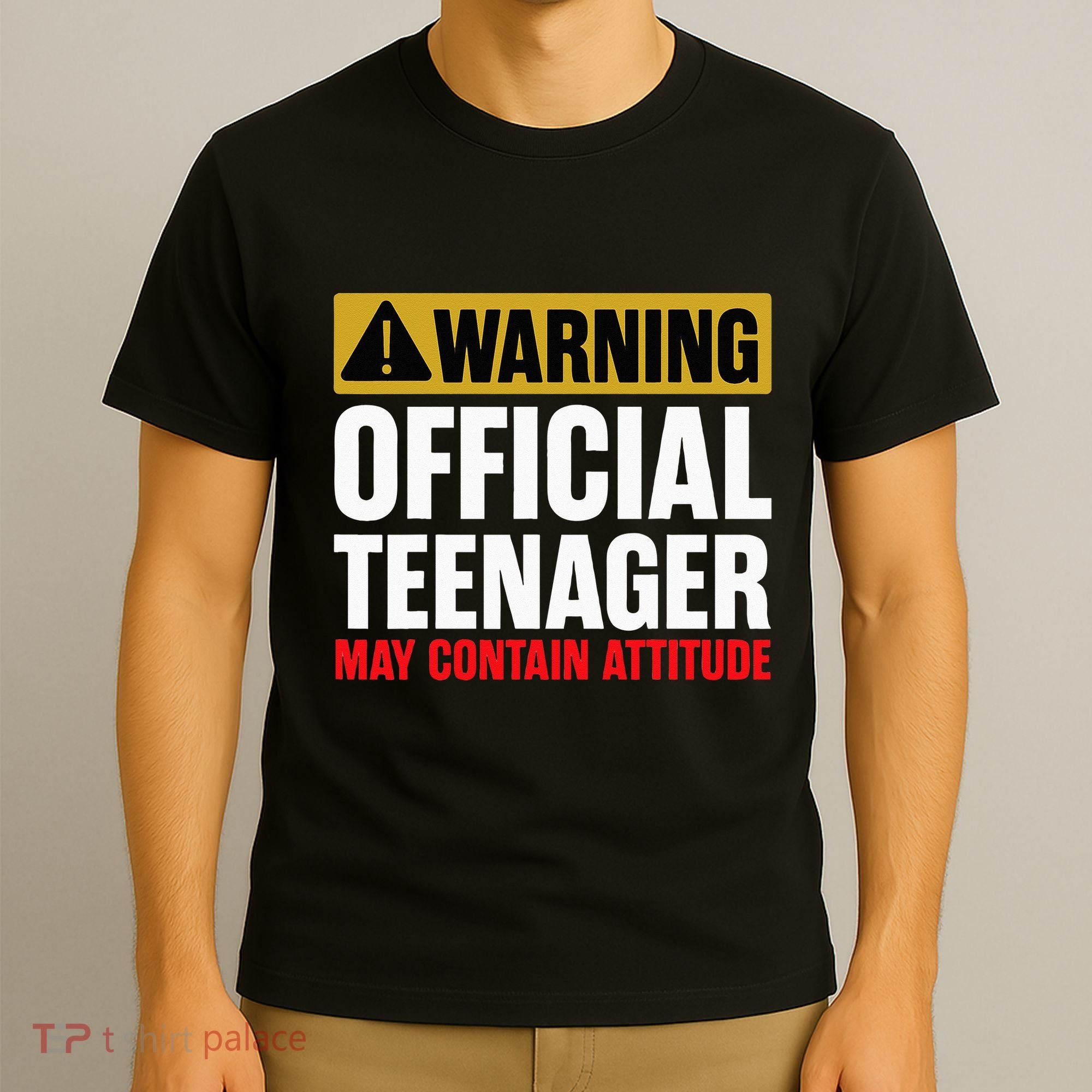 13 Birthday Teenager Boy 13yr Math 13th Birthday T-Shirt