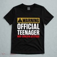 13 Birthday Teenager Boy 13yr Math 13th Birthday T-Shirt thumb 5