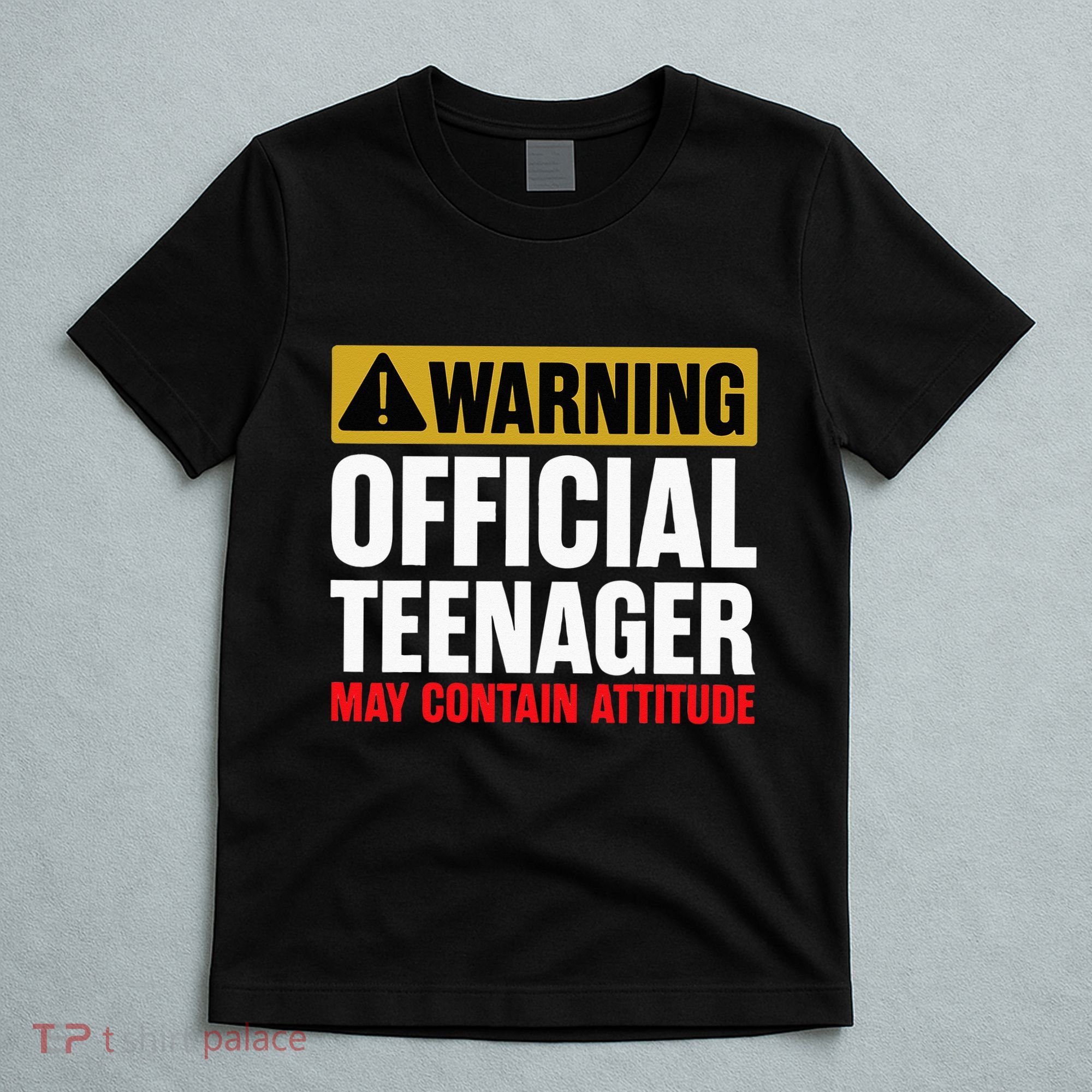 13 Birthday Teenager Boy 13yr Math 13th Birthday T-Shirt