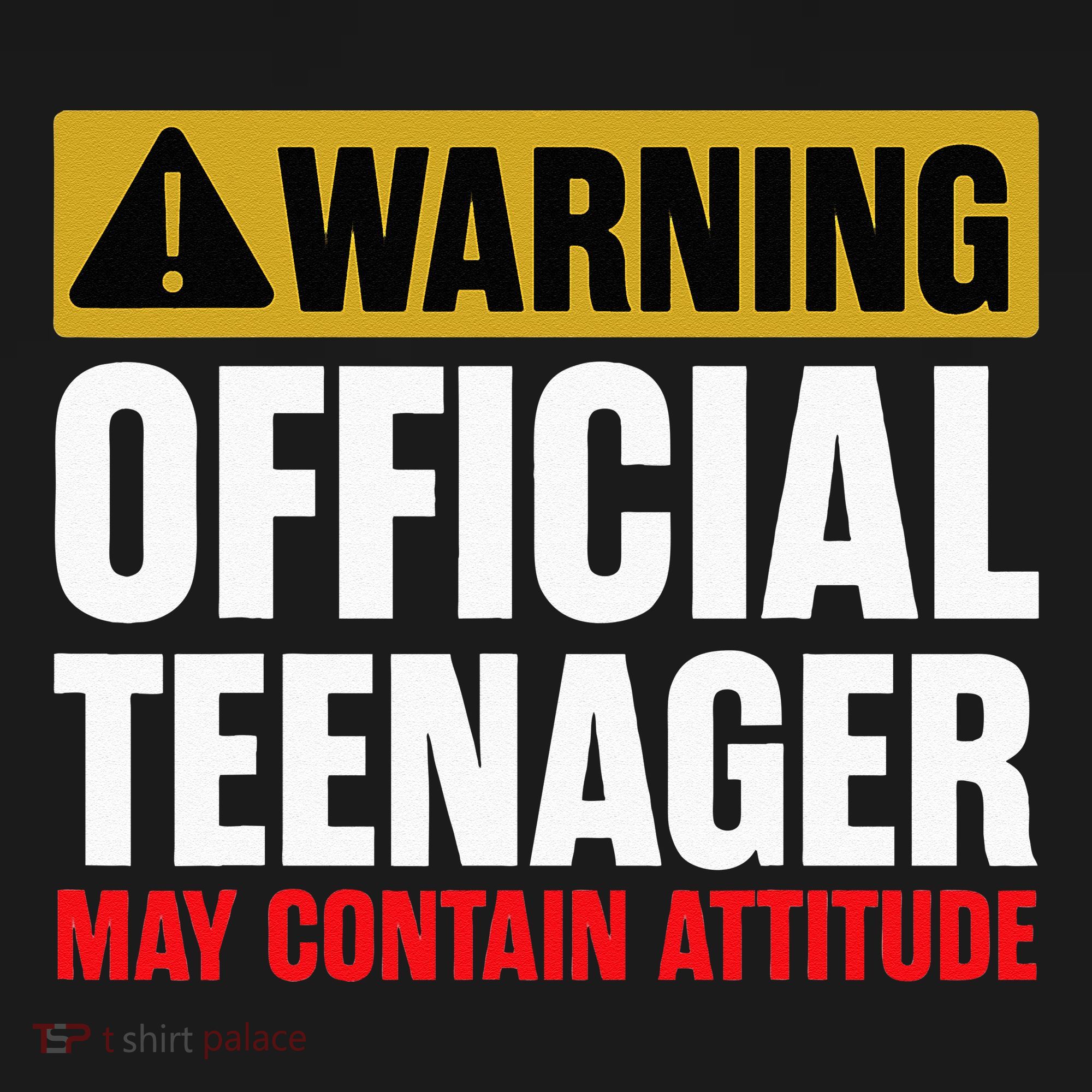 13 Birthday Teenager Boy 13yr Math 13th Birthday T-Shirt