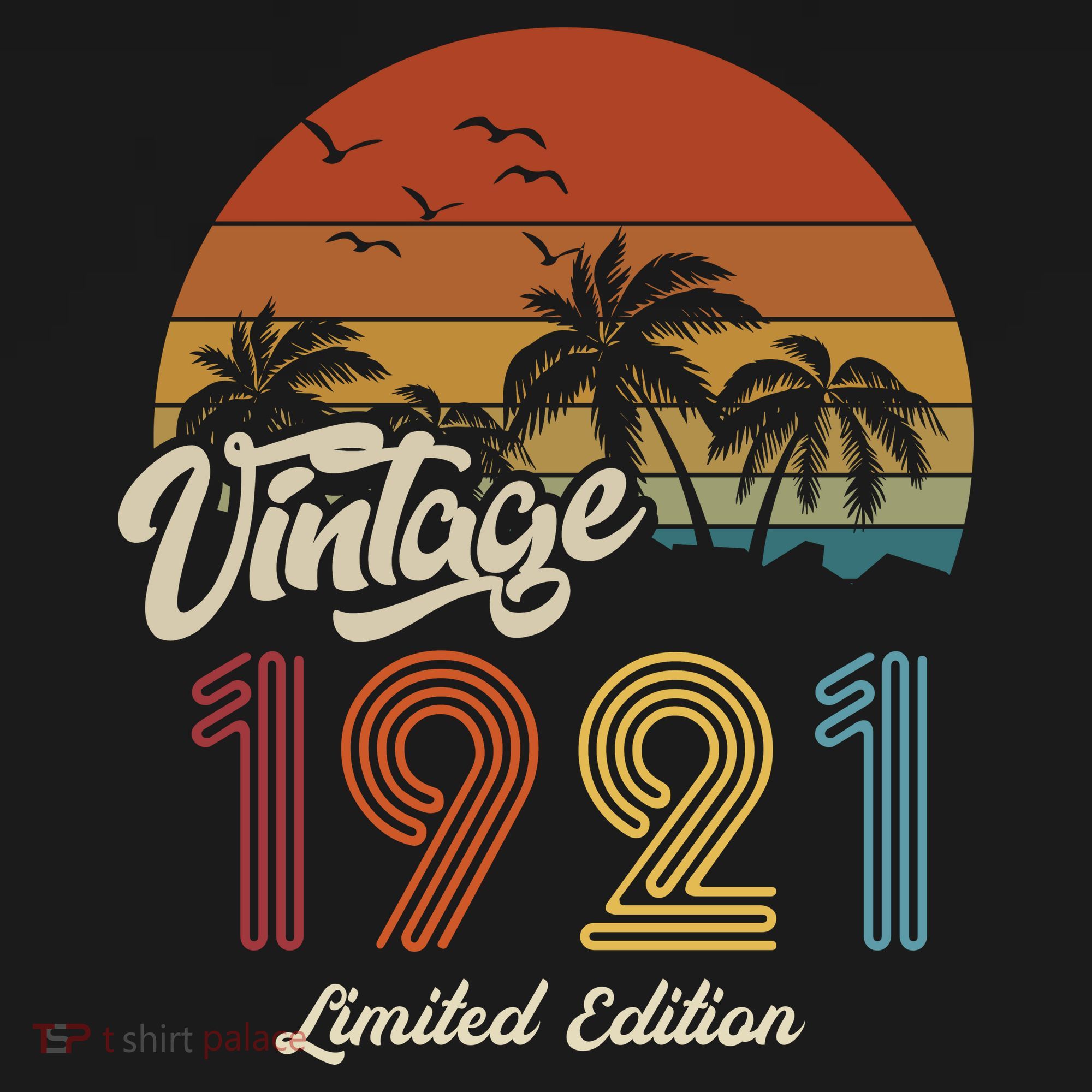 102nd Birthday Vintage Limited Edition 1921 T-Shirt