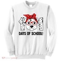 101 Days Of School Dalmatian Dog Teachers Kids Gift Sweatshirt thumb 0