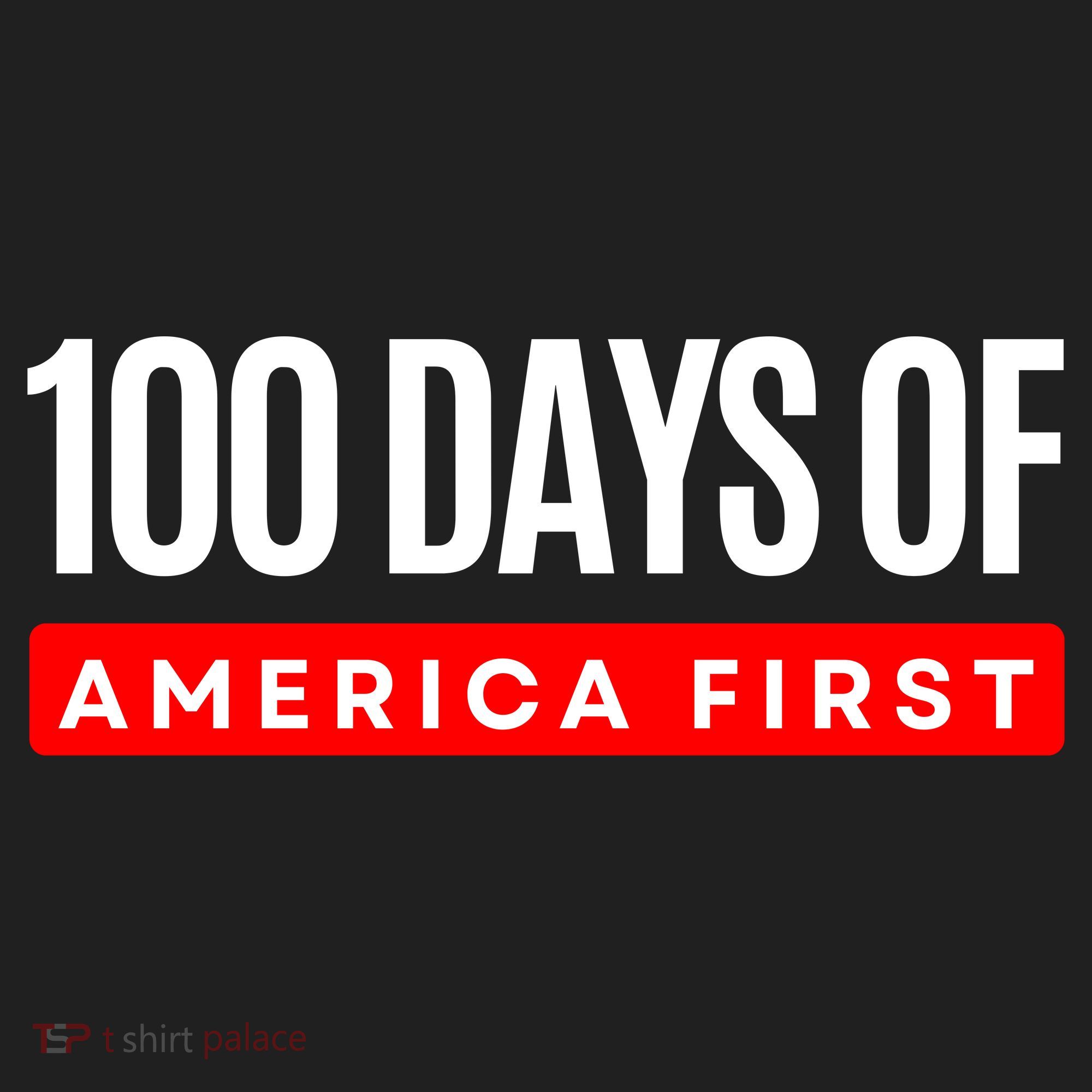 100 Days Of America First Funny Trump Beanie