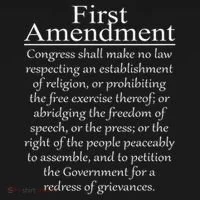 1st First Amendment U.s. Constitution Patriot Us History Toddler Hoodie thumb 2
