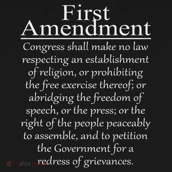 1st First Amendment U.s. Constitution Patriot Us History Toddler Hoodie