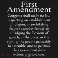 1st First Amendment US Constitution Patriot US History Hoodie thumb 2