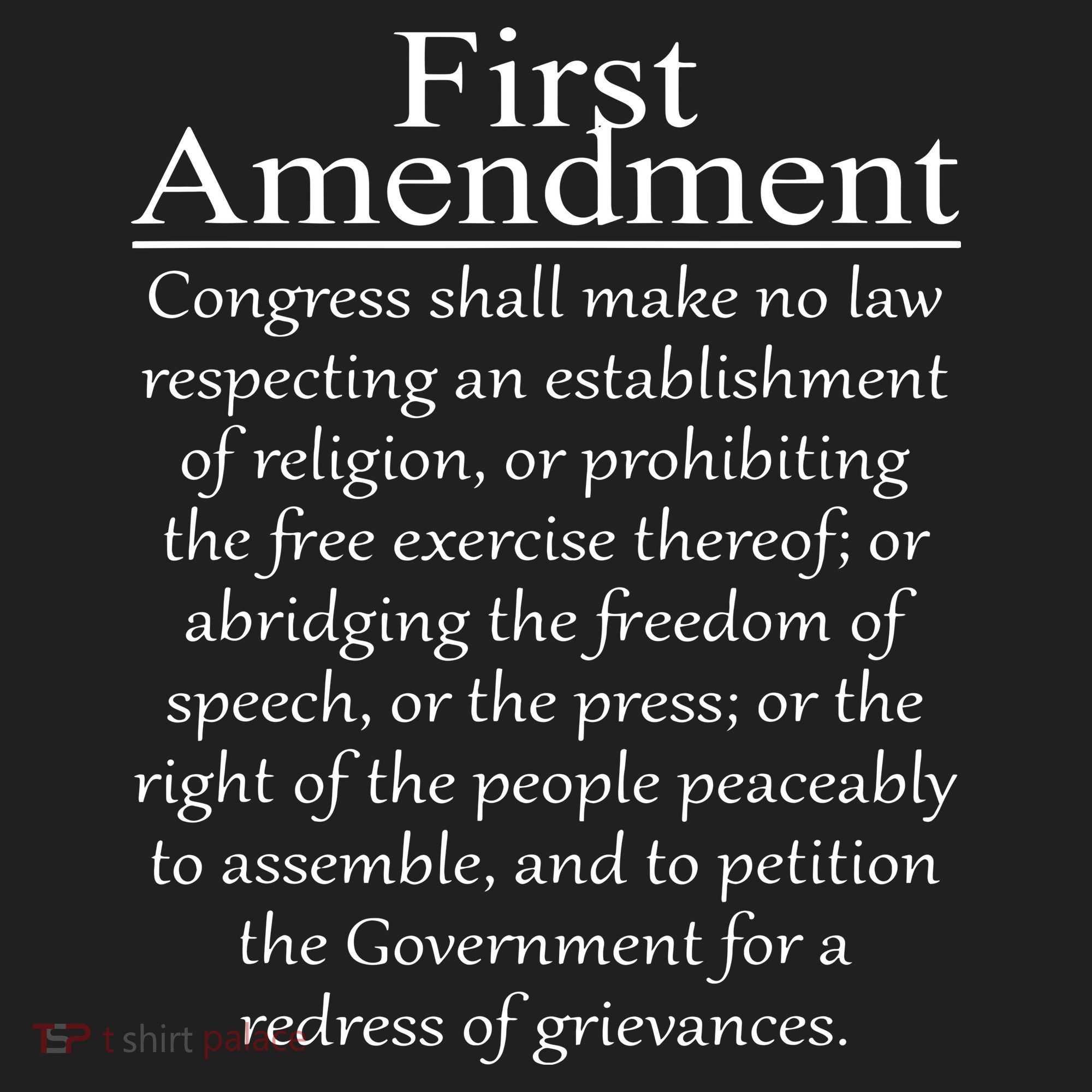 1st First Amendment US Constitution Patriot US History Hat