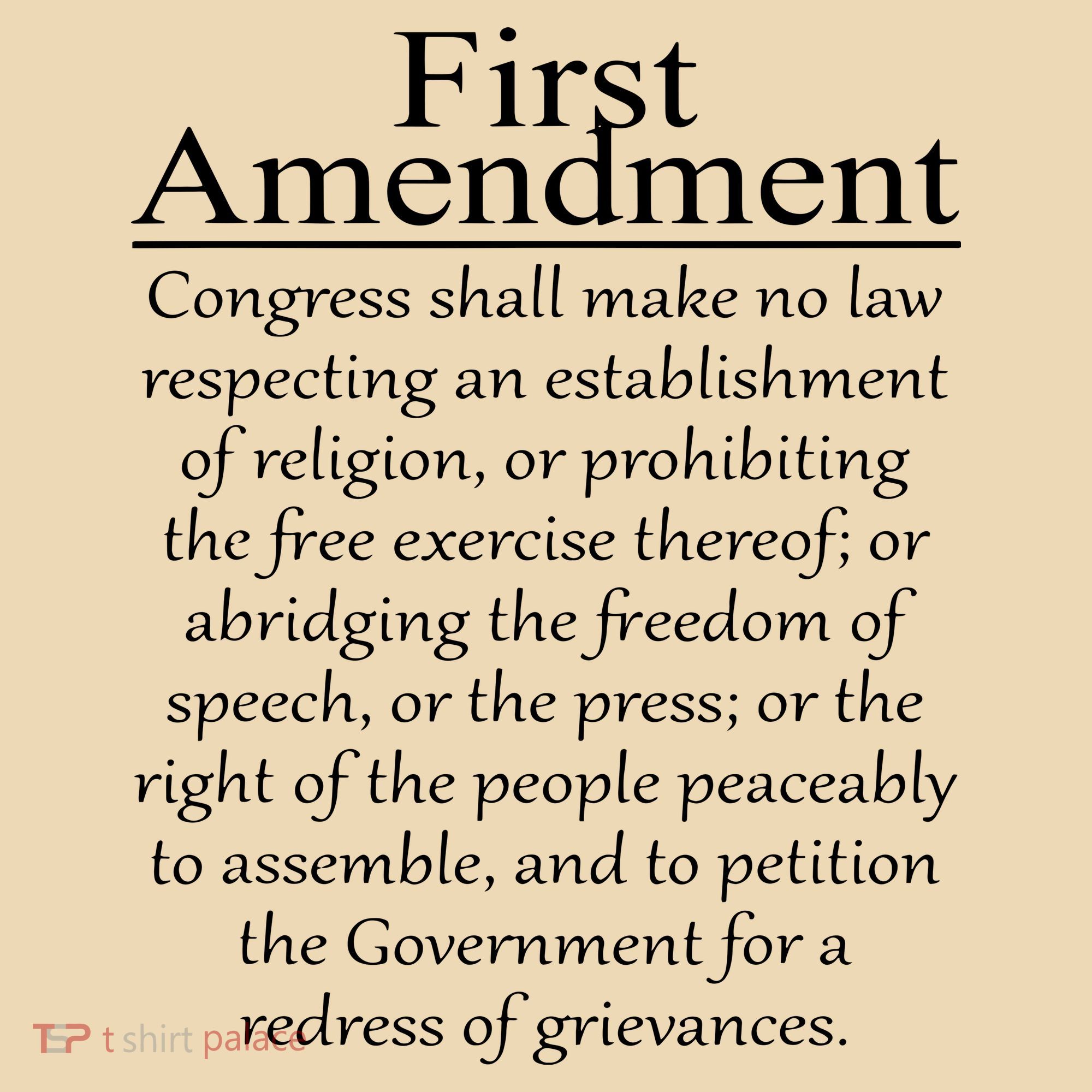 1st First Amendment US Constitution Patriot US History Apron