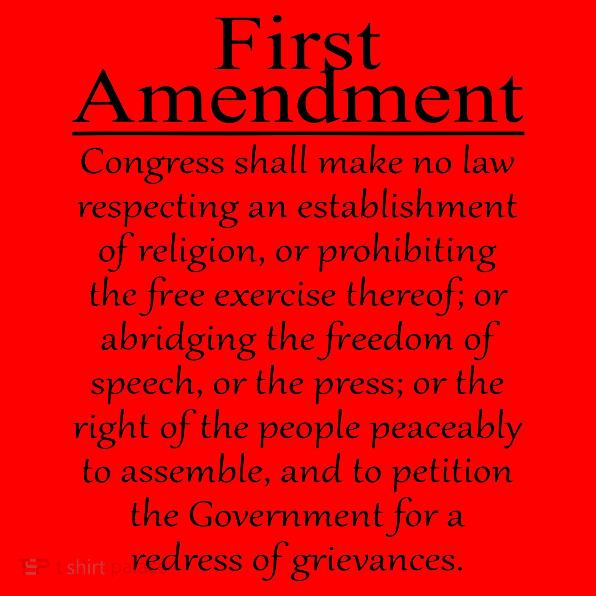 1st First Amendment US Constitution Patriot US History Santa Hat
