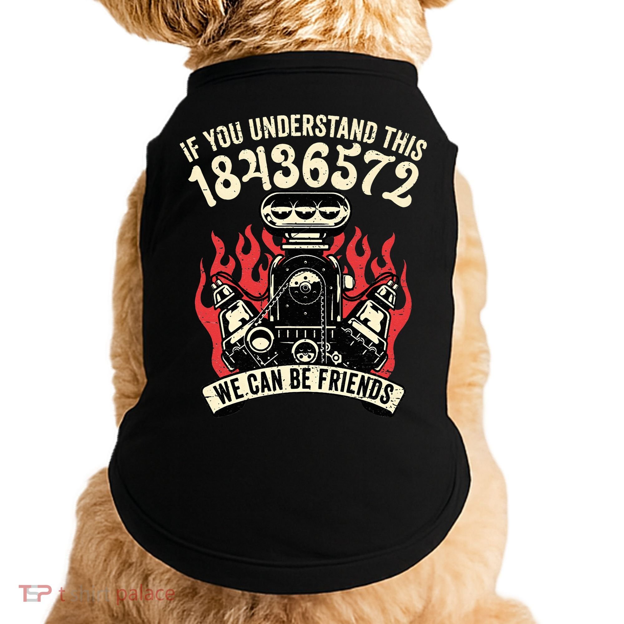 18436572 Firing Order Doggie Tank
