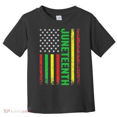 1865 Junenth Black History American Flag African Toddler T-Shirt