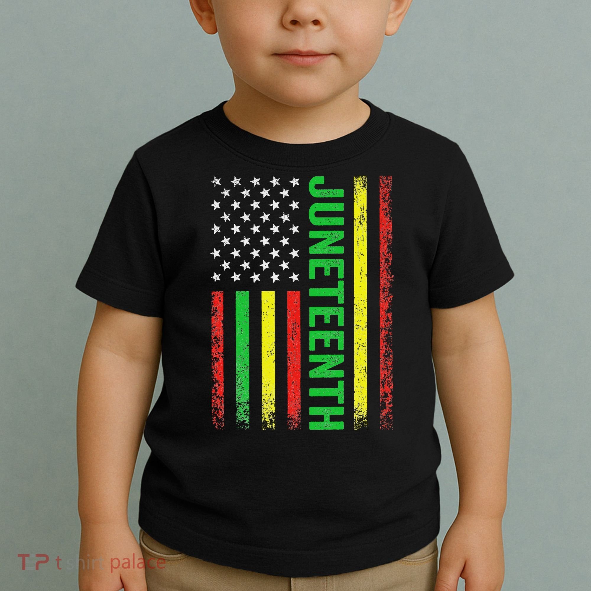 1865 Junenth Black History American Flag African Toddler T-Shirt